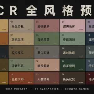 1000+ LR / ACR 照片预设：25 类主题全覆盖，从婚礼美食到黑白电影风一键套用