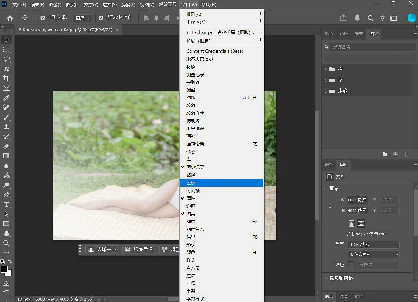 Photoshop 菜单栏 - 窗口属性