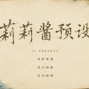 莉莉酱人像预设: 31 款复古氛围感色调一键套用