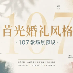苜光婚礼摄影风格预设大全，107 款 LR 预设按场景直接套用