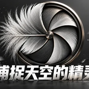 翱翔鸟类的拍摄技巧：器材、设置与追焦全攻略