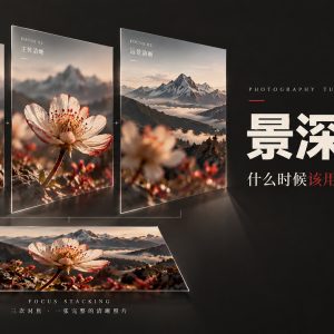 景深合成到底怎么用？从微距到风光，拍清前后景的实用方法