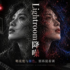 Lightroom 降噪怎么调？一次讲清明亮度与颜色降噪的区别