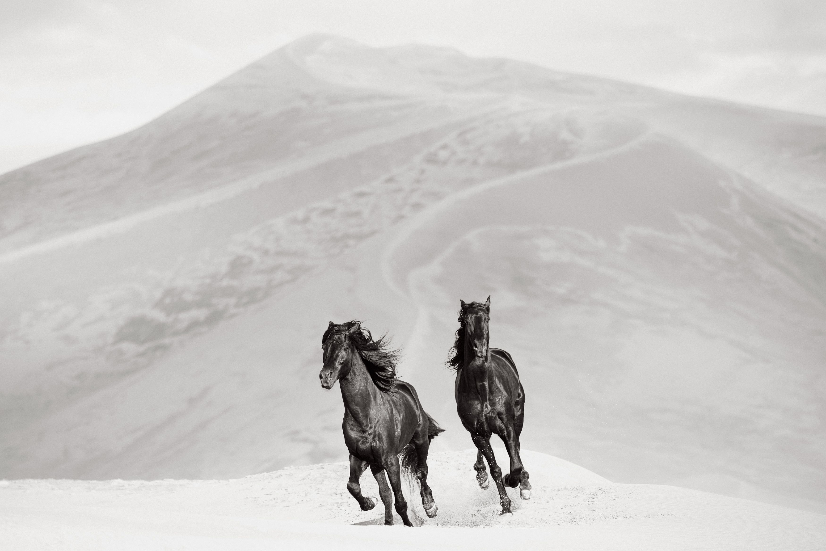 《游牧者》(Nomads),选自《Reverie》。摄影:Drew Doggett。图片来源:Drew Doggett 官方网站。