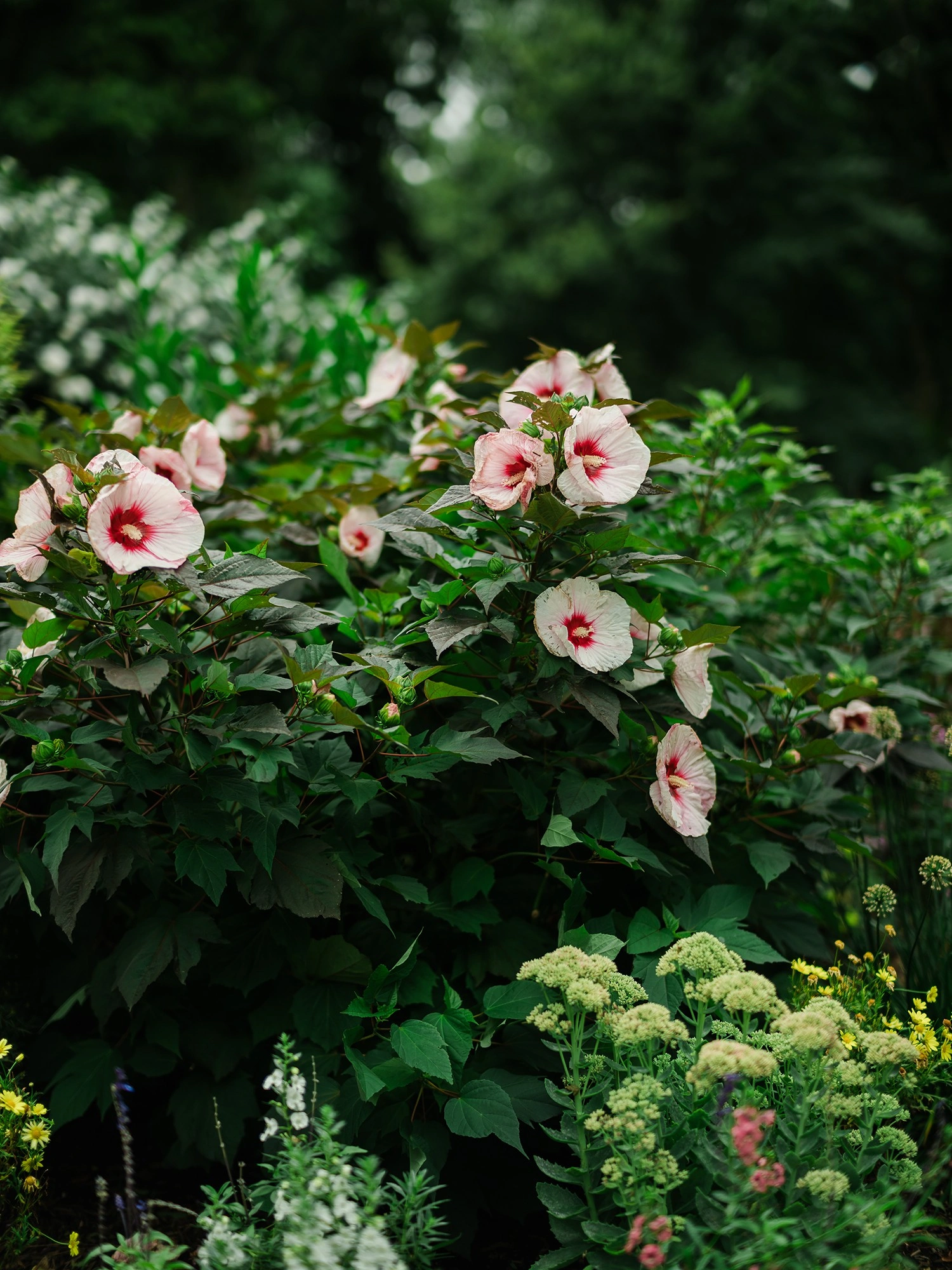过度后期会让照片失去自然的光线和质感