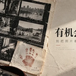 有机会就拍：成年人的相机，常常等不起“下次”