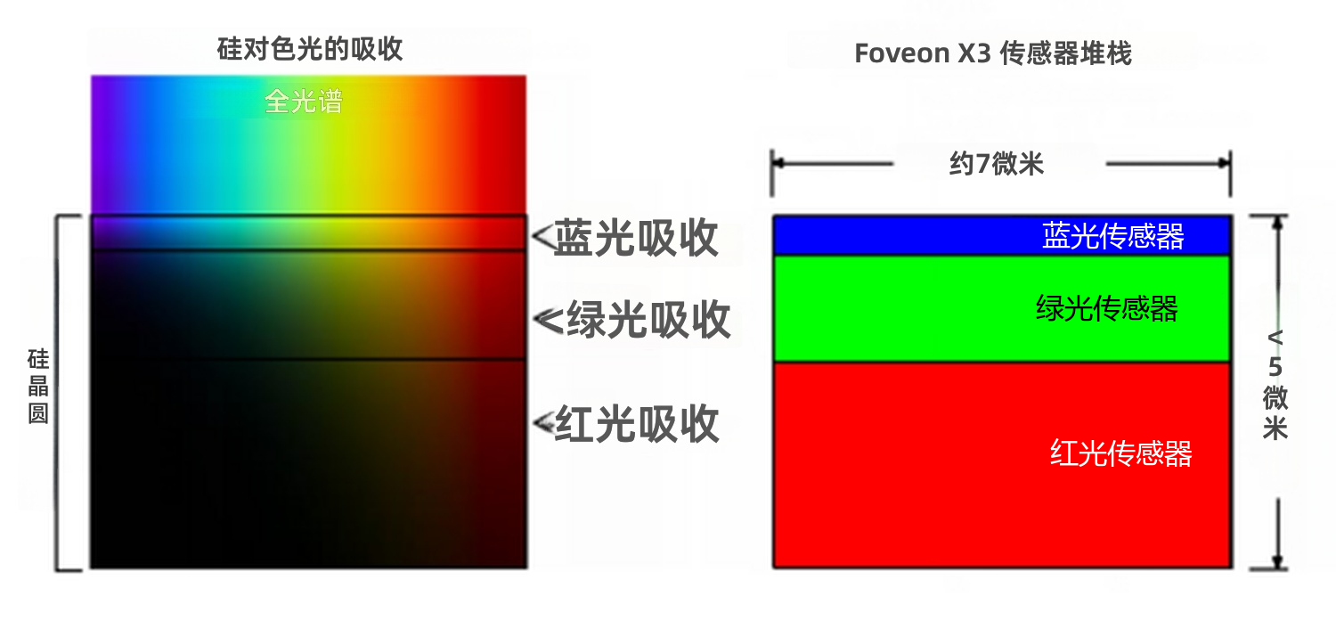 Foveon X3 在硅中不同深度堆叠蓝、绿、红光电二极管,单一位置即可直接测得三种颜色——无需彩色滤光阵列,也无需去马赛克