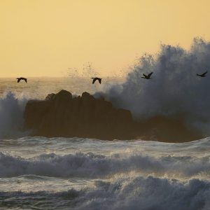 必应每日一图合集：秋色中转动的水轮和迁飞路线上的生命… | 2026 第 41 周