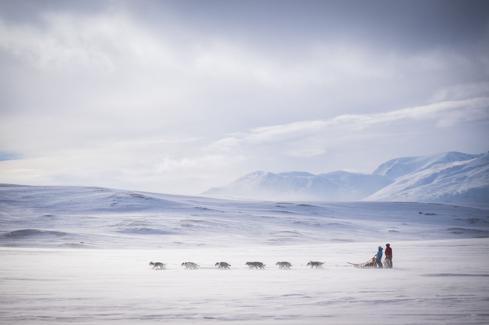 《On top of the World.》(在世界之巅),凯蒂·吉尔内斯(Katie Gyltnes,挪威),纪实组第二名。图片:Dog Photography Awards/摄影师。