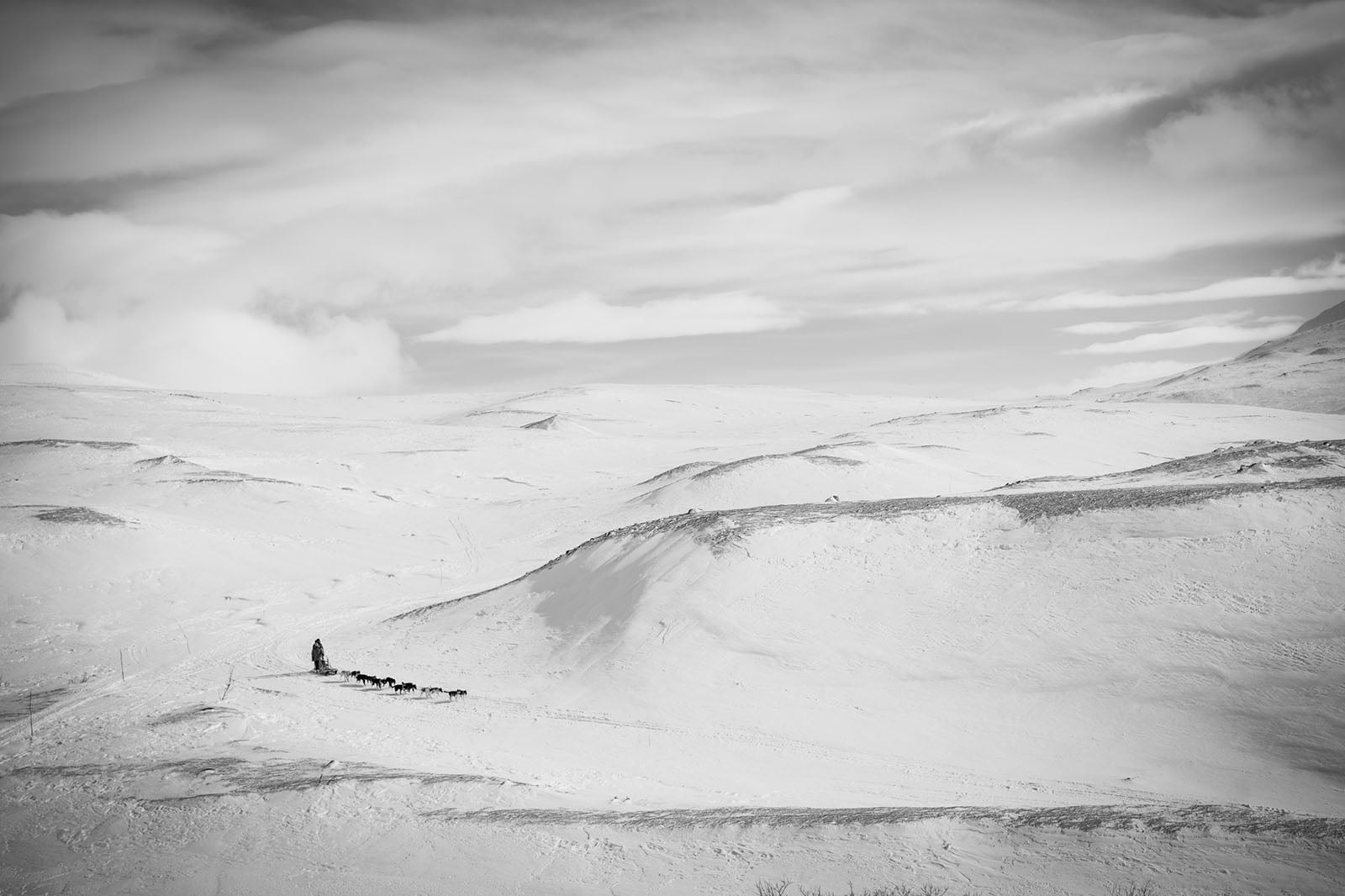 《Alone together.》(相守),凯蒂·吉尔内斯(Katie Gyltnes,挪威),纪实组第三名。图片:Dog Photography Awards/摄影师。