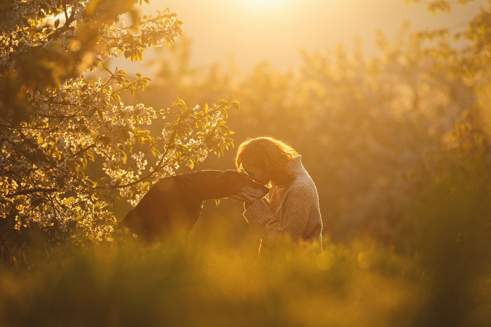 《Close.》(贴近),萨拉·埃布纳(Sarah Ebner,瑞士),狗与人组第一名。图片:Dog Photography Awards/摄影师。