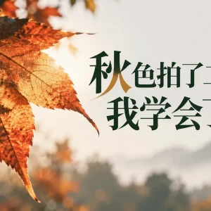 秋色拍了二十年，我学会了什么：摄影师 Kate Garibaldi 的秋日拍摄经验