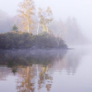 什么时候用 Lightroom 修图，什么时候必须进 Photoshop？