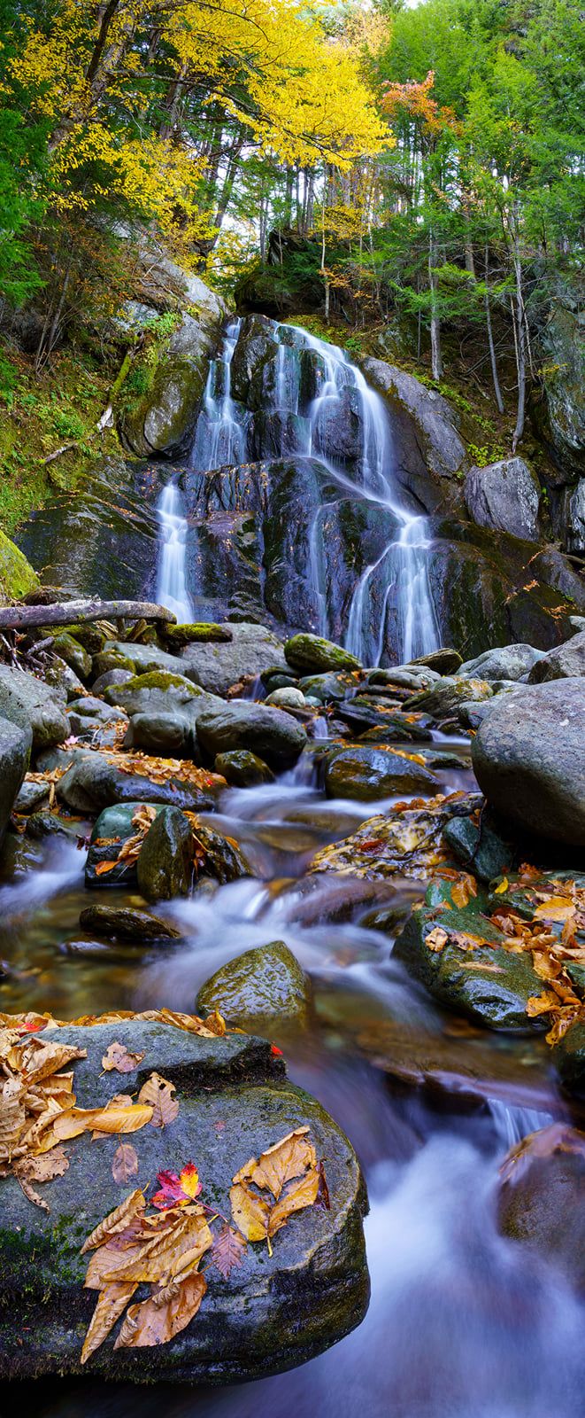 层叠瀑布穿过苔藓岩石与落叶,溪水从林间流向前景