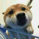 的头像